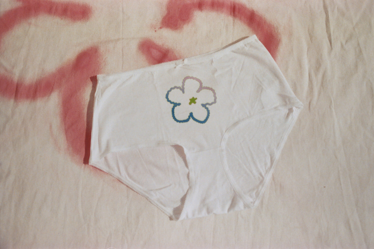 DAHLIA FISHNET GRADIENT WHITE UNDIES