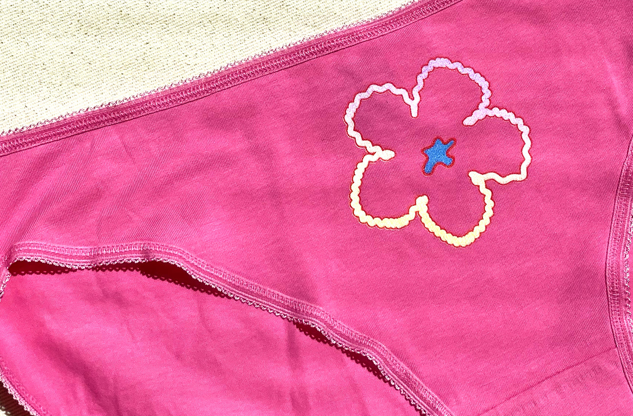 PARADISE GRADIENT PINK HIGH LEG UNDIES