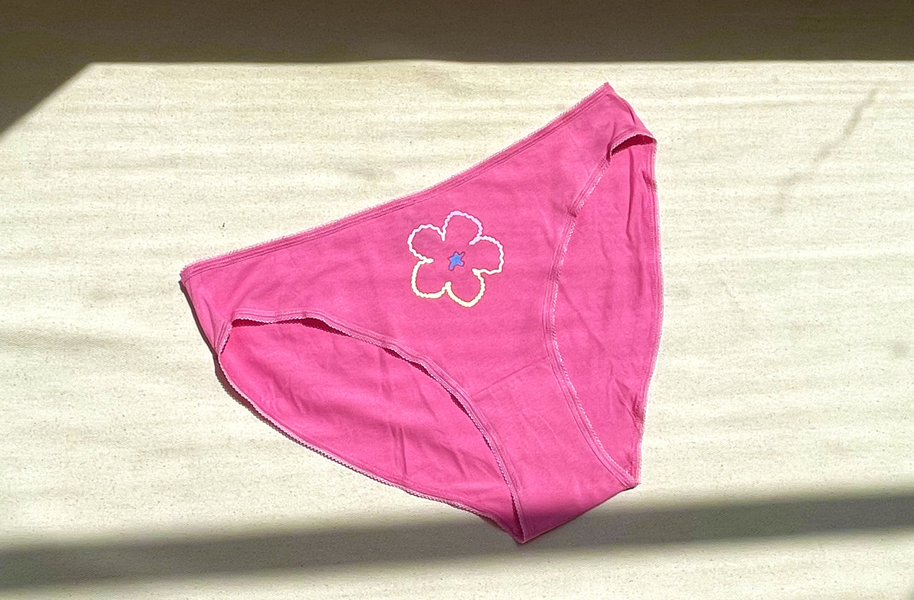 PARADISE GRADIENT PINK HIGH LEG UNDIES